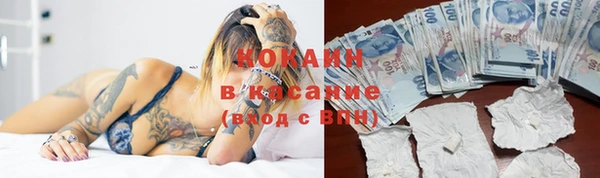 соль ск Абаза