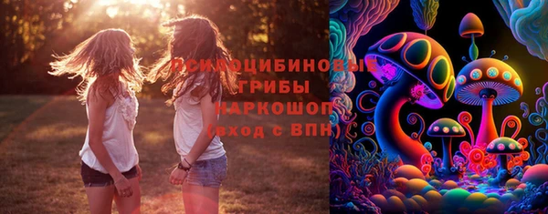 Альфа ПВП Алексин