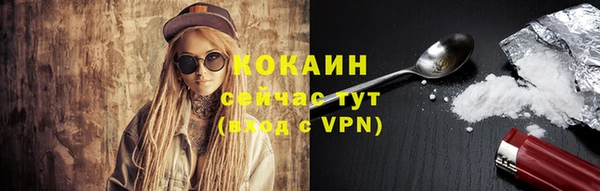 винт Новозыбков