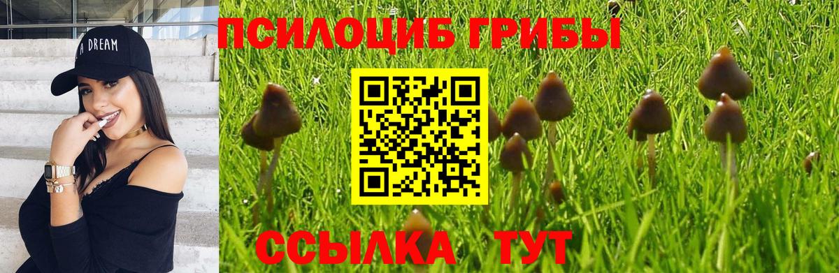Иваново  Псилоцибиновые грибы Cubensis  Вход с VPN 