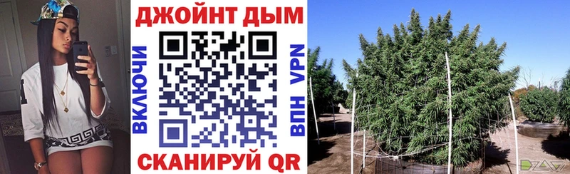 darknet телеграм Иваново МАРИХУАНА Ganja где найти